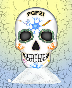 sample image - journal cover design concept